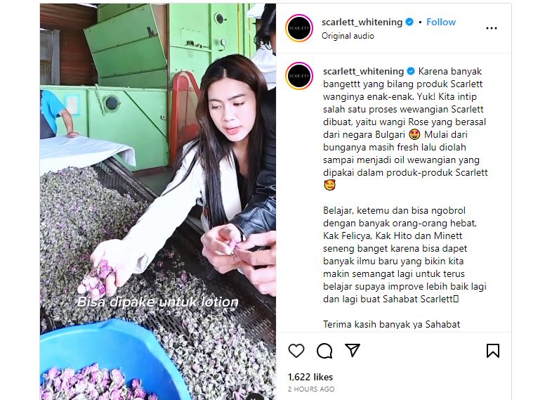 Behind The Scene Pembuatan Oil Scarlett